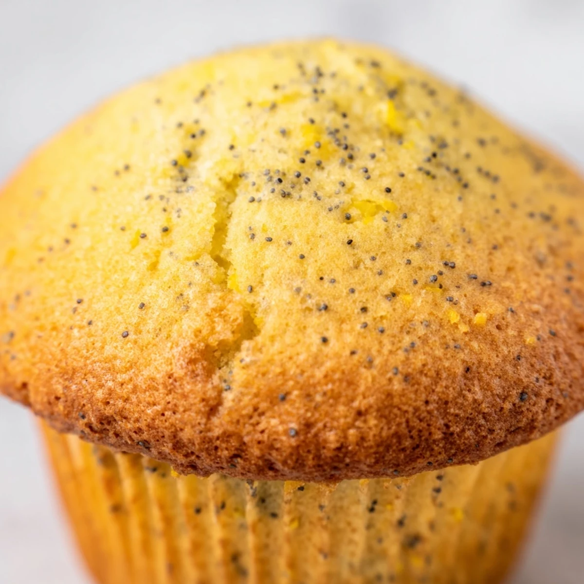 Moist lemon poppy seed muffins speckled with zest in a lined muffin tin